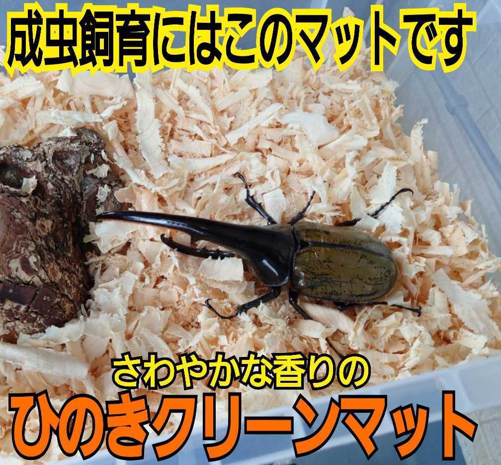 送料無料☆カブトムシ、クワガタの成虫飼育専用☆針葉樹クリーンマット☆ケース内が明るくなり生体が目立つ!ダニ、コバエも湧かなくなる!拍卖
