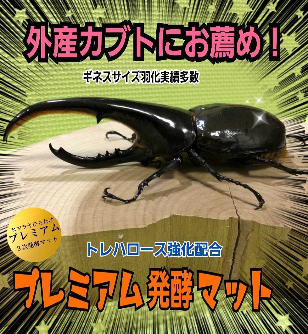進化した!特選プレミアム3次発酵ヘラクレスマット【30L】微粒子☆特殊アミノ酸など栄養添加剤を3倍配合した究極のプロ仕様!産卵にも抜群拍卖