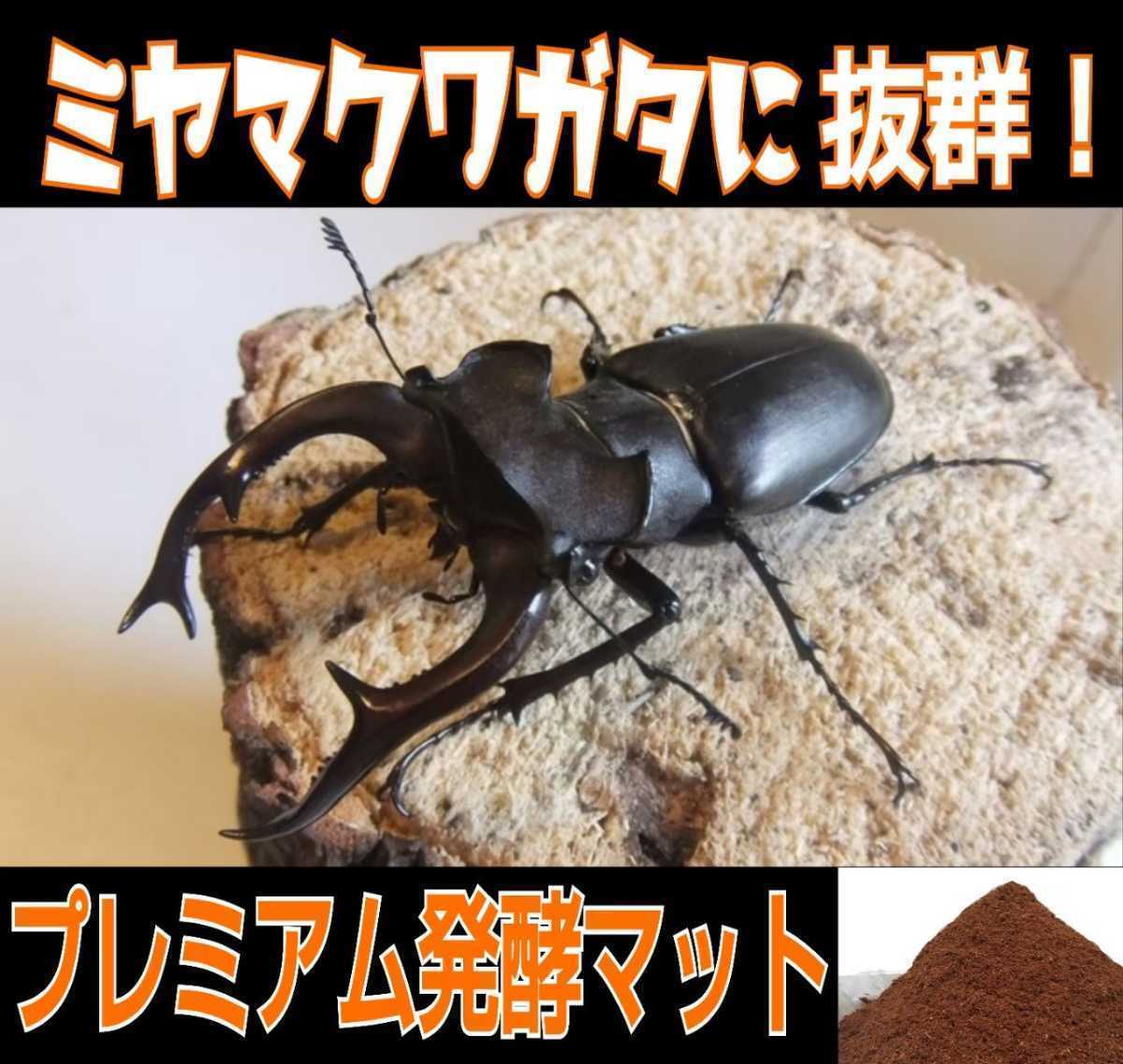 ミヤマクワガタに抜群、進化した!プレミアム3次発酵マット【20L】共生バクテリア3倍配合!アンタエウス・ヒラタ・ニジイロ・ノコギリにも拍卖