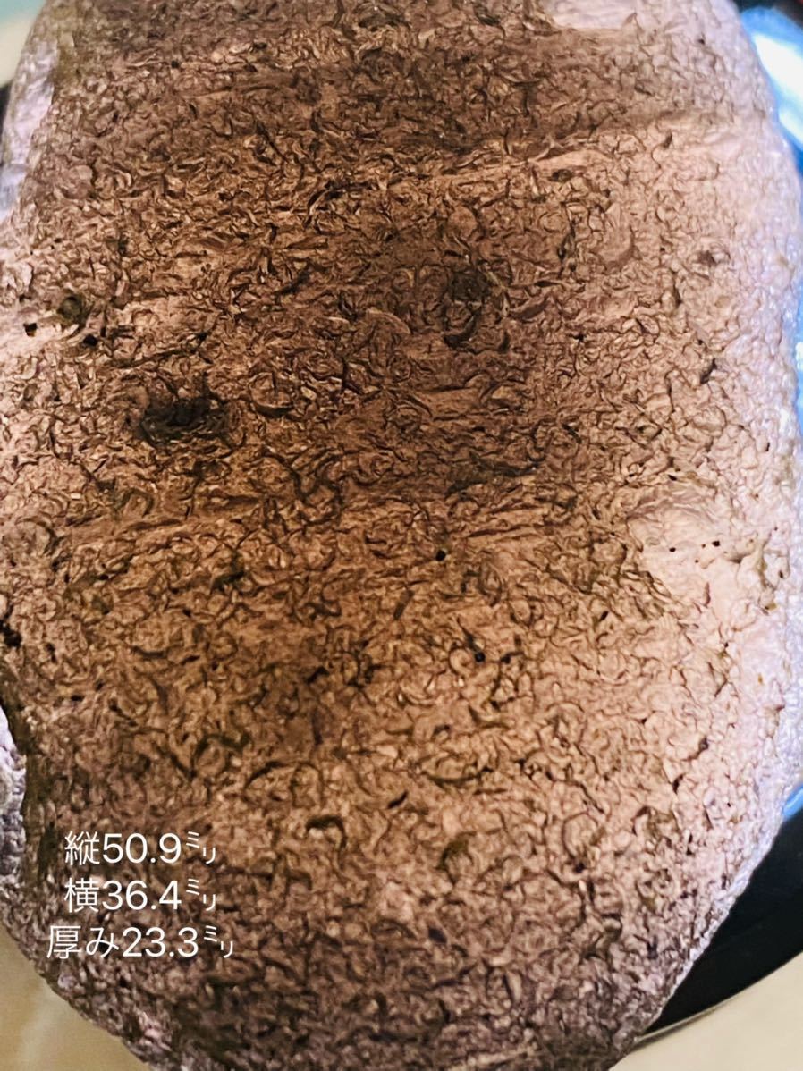 【鑑別書付き】天然ガラス チンターマニストーン 隕石産物 56.3g 高品質 メテオライト ブレスレット 隕石 天然ガラス 拍卖