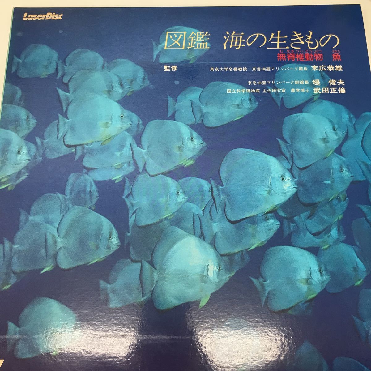 14930-161 0906Y LD レーザーディスク 図鑑 海の生きもの 無脊椎動物 魚 動作未確認拍卖
