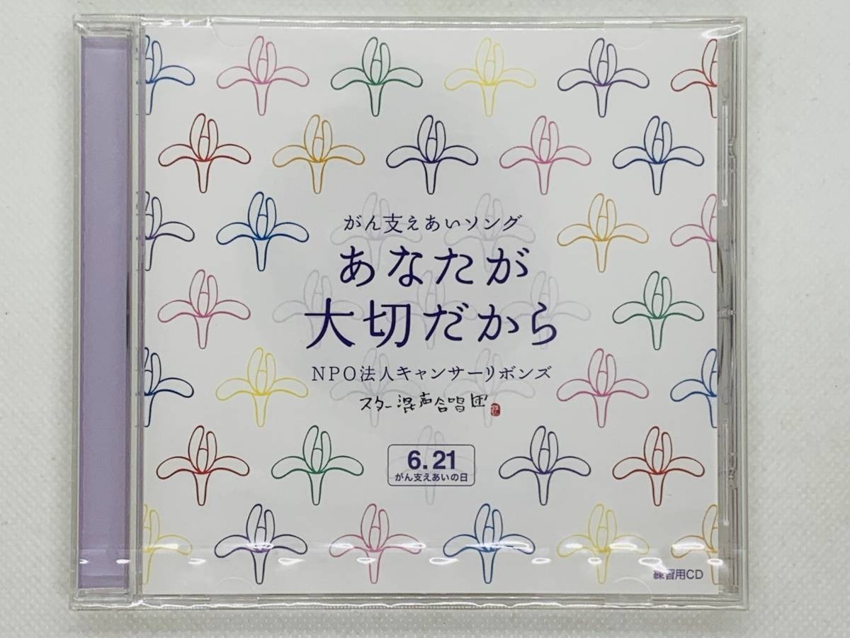 即決CD あなたが大切だから がん支えあいソング NPO法人キャンサーリボンズ スター混声合唱団 / 新品未開封 レア 希少 Y01拍卖