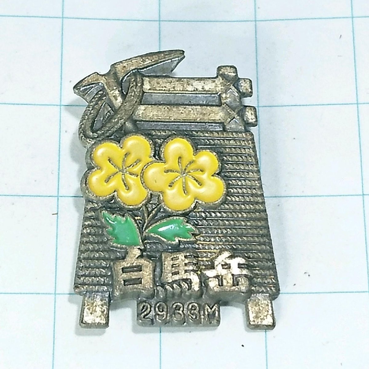 送料無料)白馬岳 昭和レトロ ご当地 観光地 登山 山登り 旅行 記念 山バッジ ピンバッジ PINS ピンズ A12036拍卖