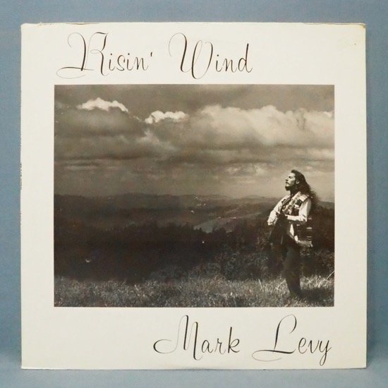 ■自主 NEW CLEAR★MARK LEVY/RISIN WIND★送料無料(条件有り)多数出品中!★オリジナル名盤■拍卖