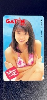 ☆矢部美穂⑦ ガテン(花柄ビキニ)抽プレ テレカ テレホンカード拍卖