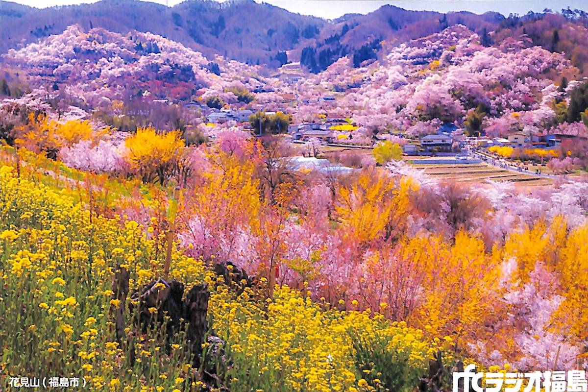 ③即決★送料込★BCL★入手困難★希少無記名ベリカード★JOWO★RFC・ラジオ福島郡山局★2017年拍卖