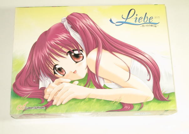 Liebe リーベ ~ 想い出の贈り物 ~ ( CustomSoftware ) Windows95 / 98 中古拍卖