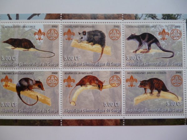 コンゴ切手『齧歯類』6枚シート 未使用拍卖