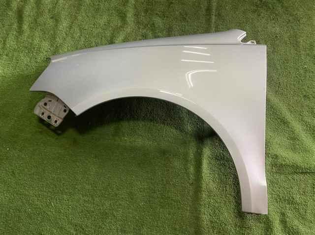 フォルクスワーゲン ポロ 9NBJX フェンダーパネル 左 助手席側 リフレックスシルバーメタリック拍卖