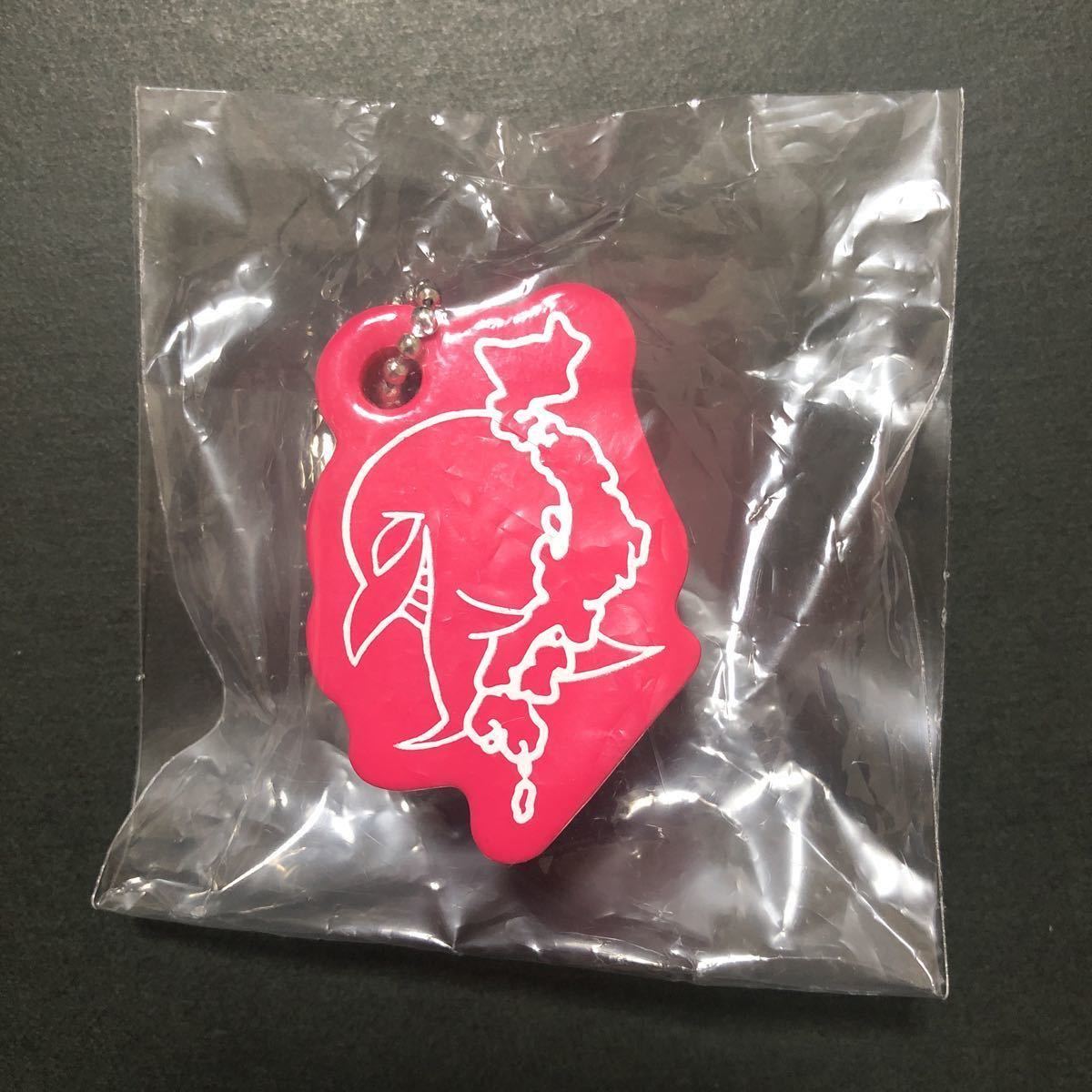 新品☆フローティングキーホルダー② 樽美酒研二【2019年 ゴールデンボンバー 地方民について本気出して考えてみた 金爆くん ガチャ】拍卖