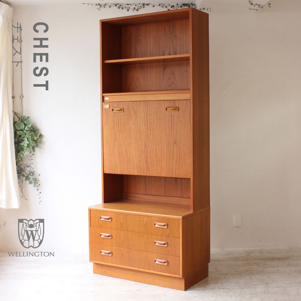 アンティーク家具 チェスト タンス 収納 キャビネット イギリス ビンテージ レトロ wk-cd-4605-cst拍卖