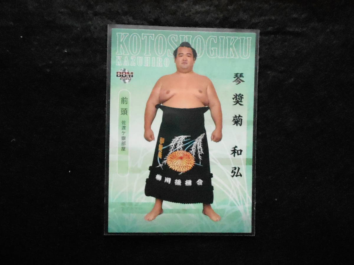 BBM大相撲カード2020新 琴奨菊拍卖