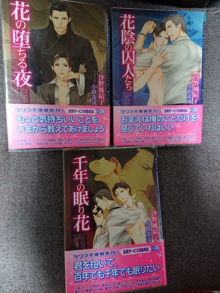 即決★BLN沙野風結子/小路龍流「花の堕ちる夜/花陰の囚人たち/千年の眠り花」ダリア文庫 シリーズ3冊セット拍卖