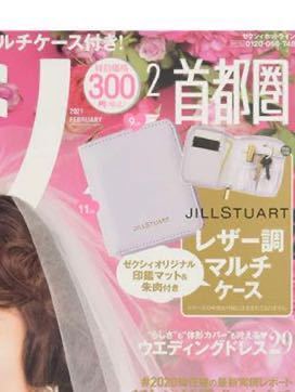 ゼクシィ 付録 JILLSTUART ジルスチュアート レザー調 マルチケース拍卖