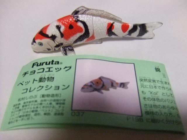 チョコエッグ ペット動物☆第2弾☆錦鯉(3種セット)☆36・37・38☆緑ブック拍卖