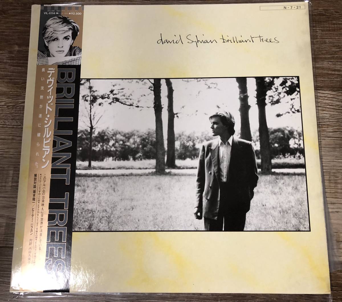 LP【New Wave】David Sylvian / Brilliant Trees【VIL-6114・84年国内盤帯付き・JAPAN・デヴィッドシルヴィアン・坂本龍一】拍卖