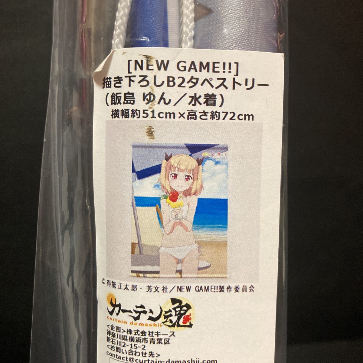 NEW GAME!! 描き下ろしB2タペストリー 飯島ゆん 水着 タペストリー グッズ ニューゲーム 公式拍卖
