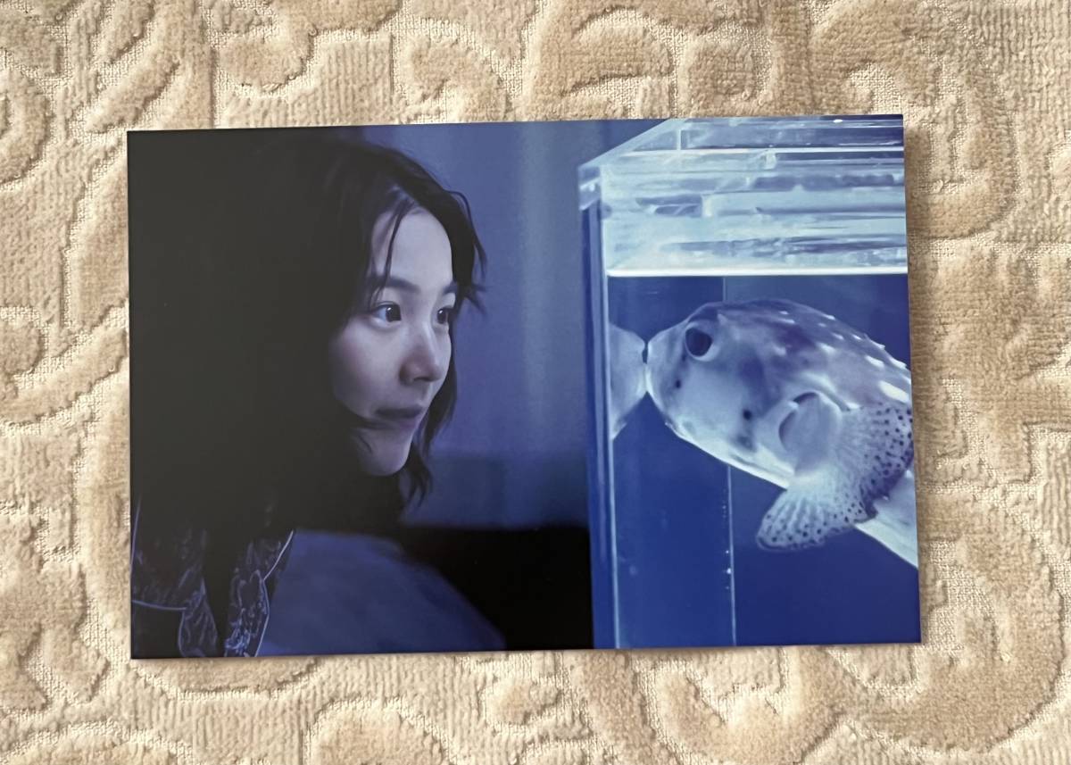 ■非売品■ 映画「さかなのこ」 入場者特典オリジナルポストカード:ミー坊とイシガキフグ のん/さかなクン拍卖
