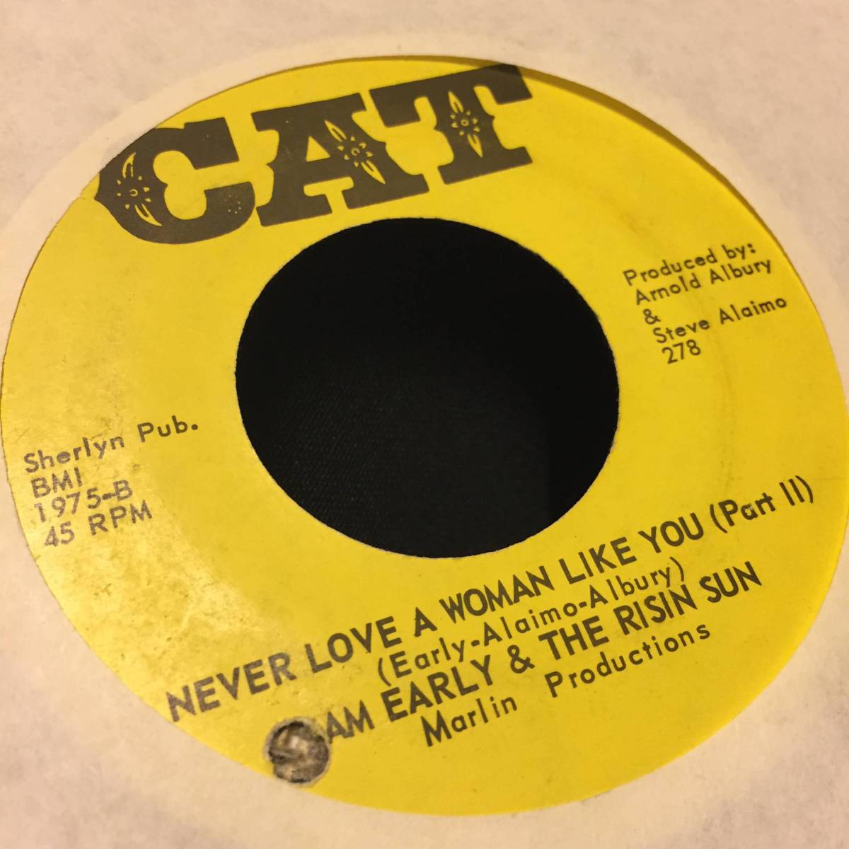 Sam Early & The Risin Sun / Never Love A Woman Like You拍卖