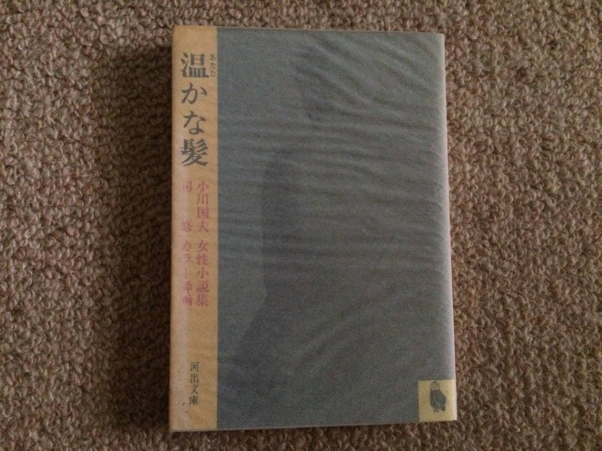 温かな髪 昭和56年 初版 小川国夫 河出文庫 挿画8葉/司修拍卖