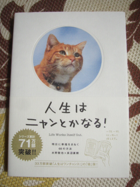 ☆人生はニャンとかなる!拍卖