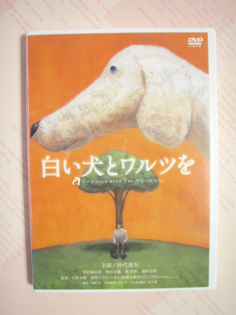 ☆DVD 白い犬とワルツを拍卖