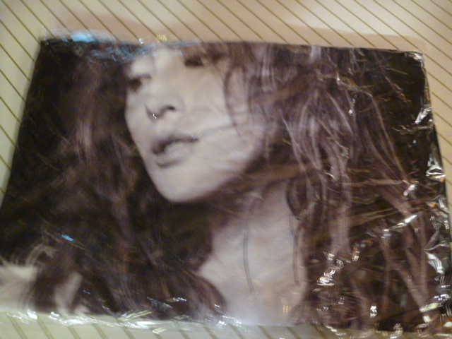 浜崎あゆみ2017年アリーナーツアータオル拍卖