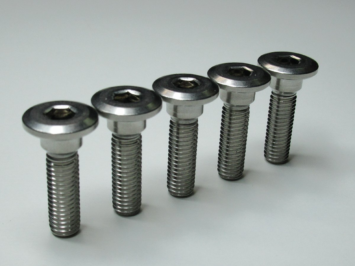 送料無料 TA-4002 カワサキ ZRX400/ZRX400R フロント ブレーキディスクローター 取付け ボルト 5本セット拍卖