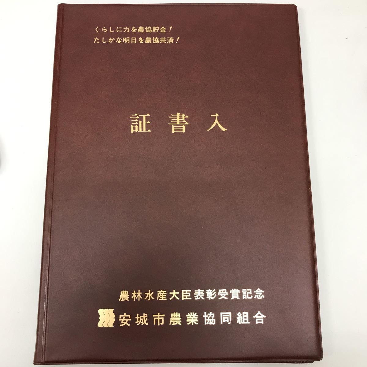 32362 1016Y 証書入 ※証書なし  農林水産大臣表彰受賞記念 ファイル拍卖