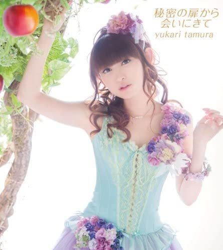 【中古】秘密の扉から会いにきて / 田村ゆかり c12998【中古CDS】拍卖