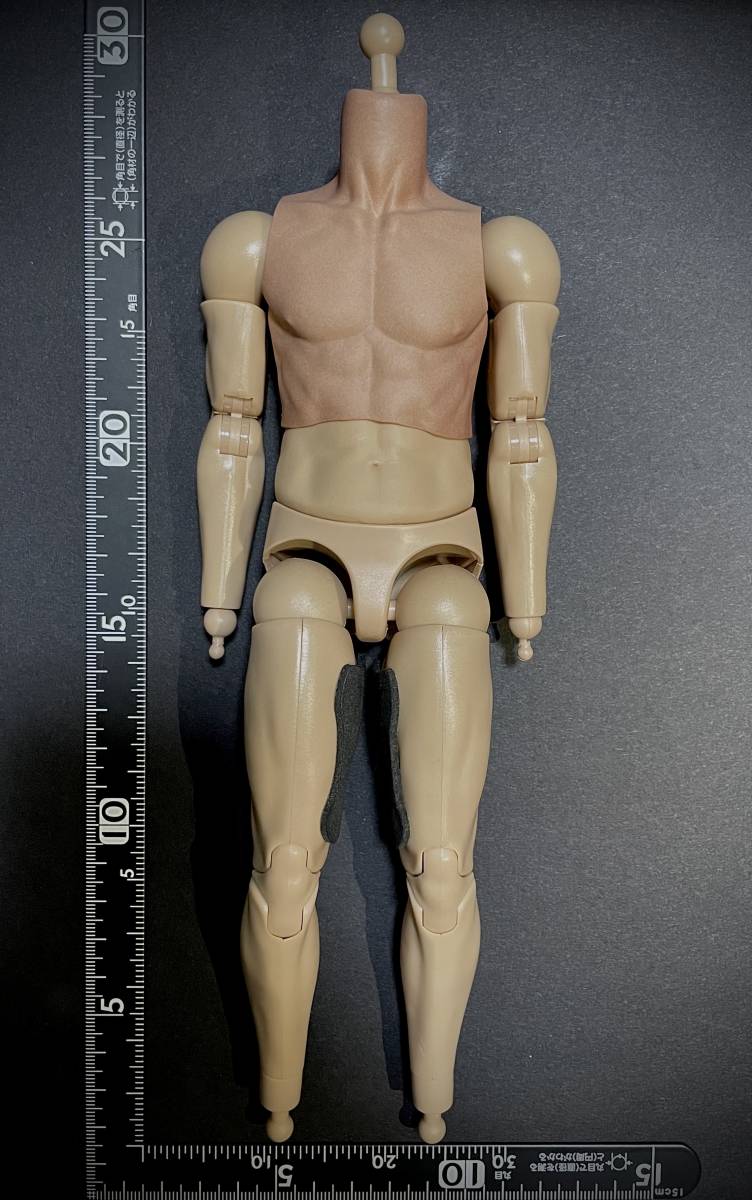 【値上げ予定】DAMTOYS製 1/6 男性 フィギュア 素体 フットハンド無 ショートジョイント 高品質 衣装を着せて飾る為の素となる部品 未使用拍卖