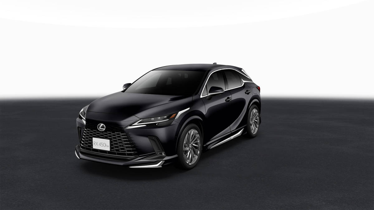 ★☆NEW 現行RX MODELLISTA エクスパンションパッケージSET 純正カラー塗装済み(グラファイトガラスフレーク) ☆★拍卖