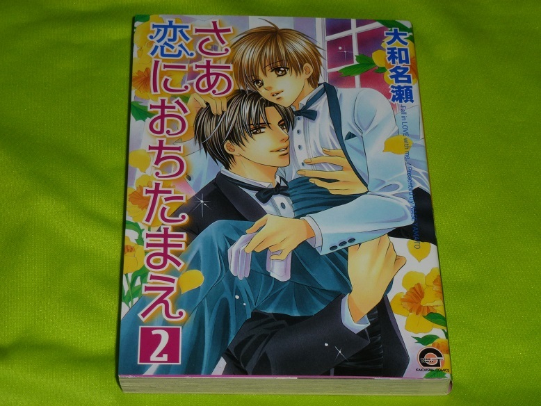★さあ恋におちたまえ 2★大和名瀬★送料112円拍卖