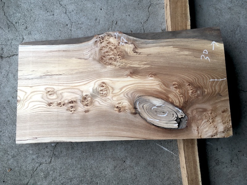 ニレ(楡)杢 No.20221115nir拍卖