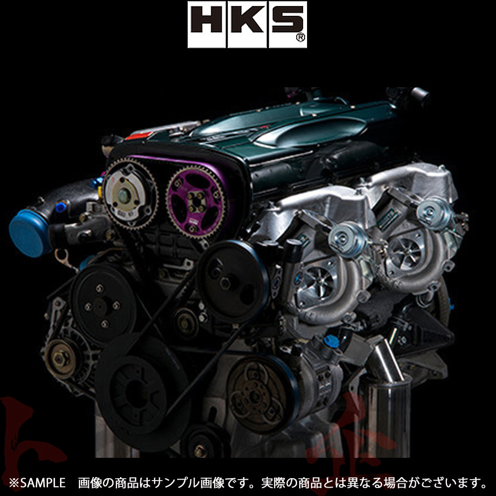 HKS GT III スポーツタービンキット (アクチュエーターシリーズ) スカイライン GT-R BNR34 11004-AN012 トラスト企画 ニッサン (213121196拍卖