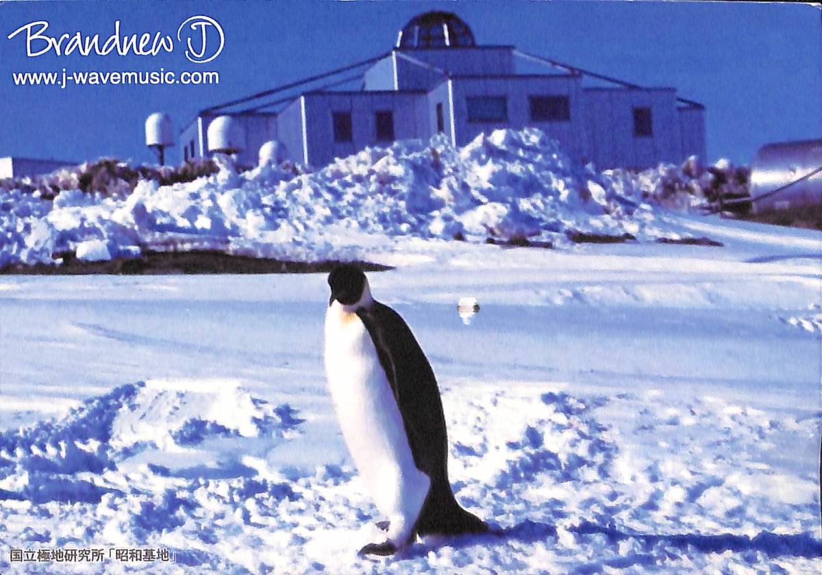 ③即決★送料込★BCL★入手困難★希少ベリカード★JOAV-FM★J-WAVE★東京★2008年 拍卖