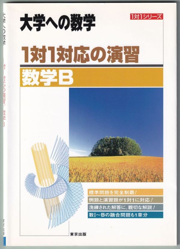 大学への数学 1対1対応の演習 数学B 東京出版 平成19年 第6刷 2007年拍卖