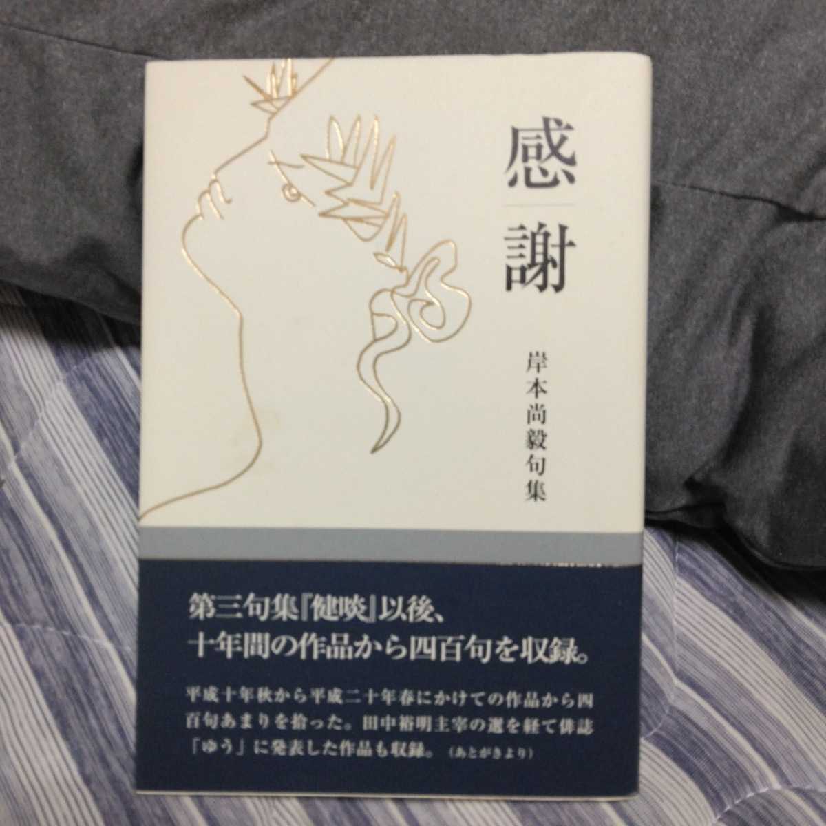 岸本尚毅句集 感謝 拍卖