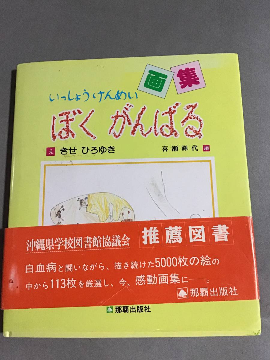 推薦図書 画集 いっしょうけんめい ぼく がんばる きせ ひろゆき 沖縄 那覇出版社 恐竜 ヒーロー 魚 の絵 白血病と闘い夢描いた 5歳拍卖