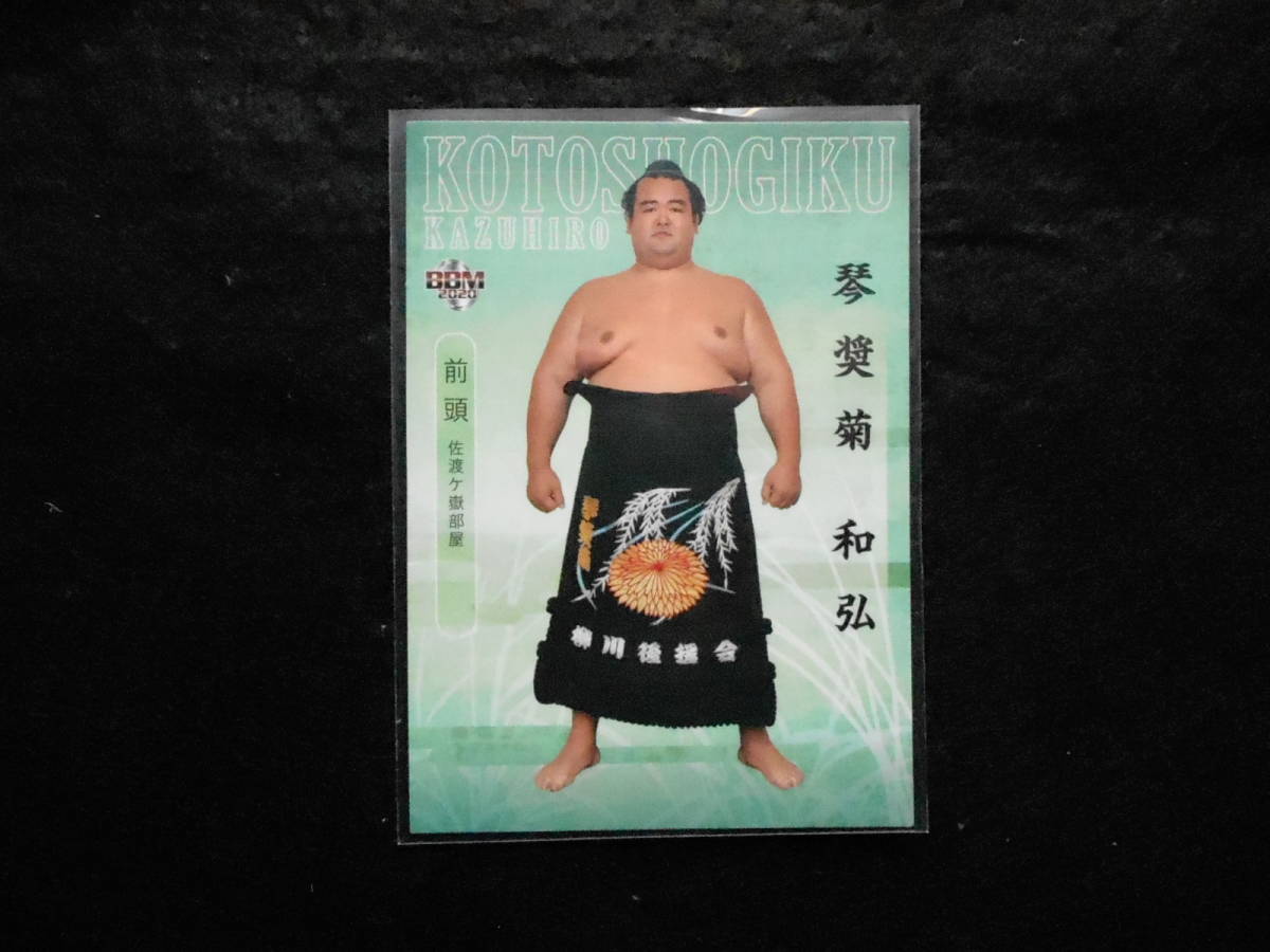 BBM大相撲カード2020新 琴奨菊拍卖