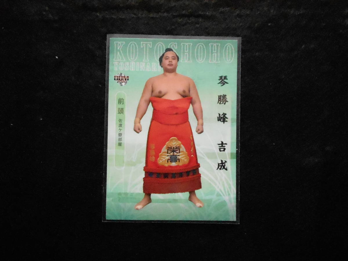 BBM大相撲カード2020新 琴勝峰拍卖
