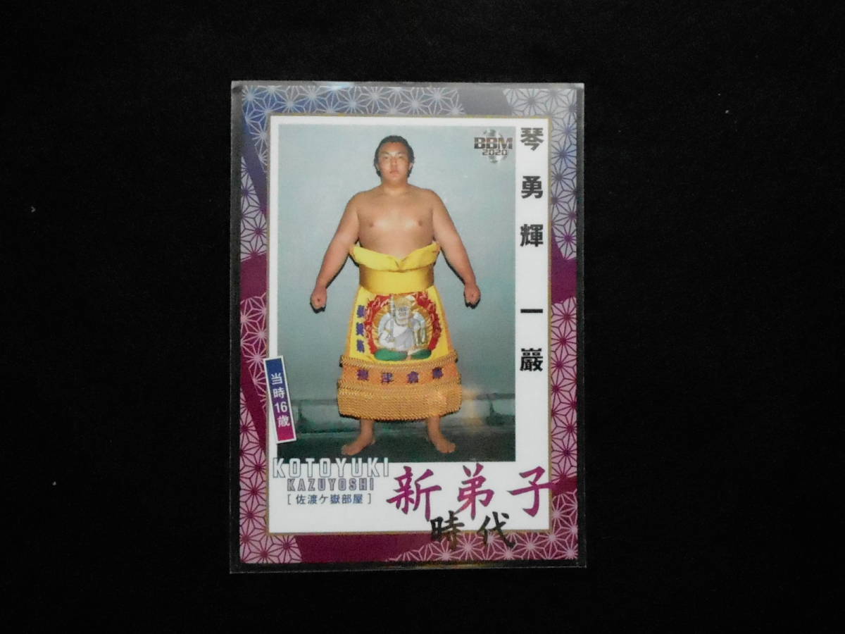 BBM大相撲カード2020新琴勇輝拍卖