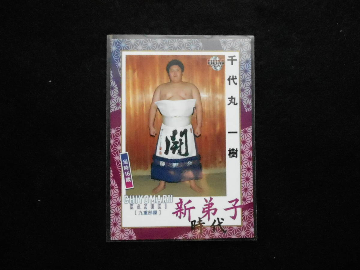 BBM大相撲カード2020新 千代丸拍卖