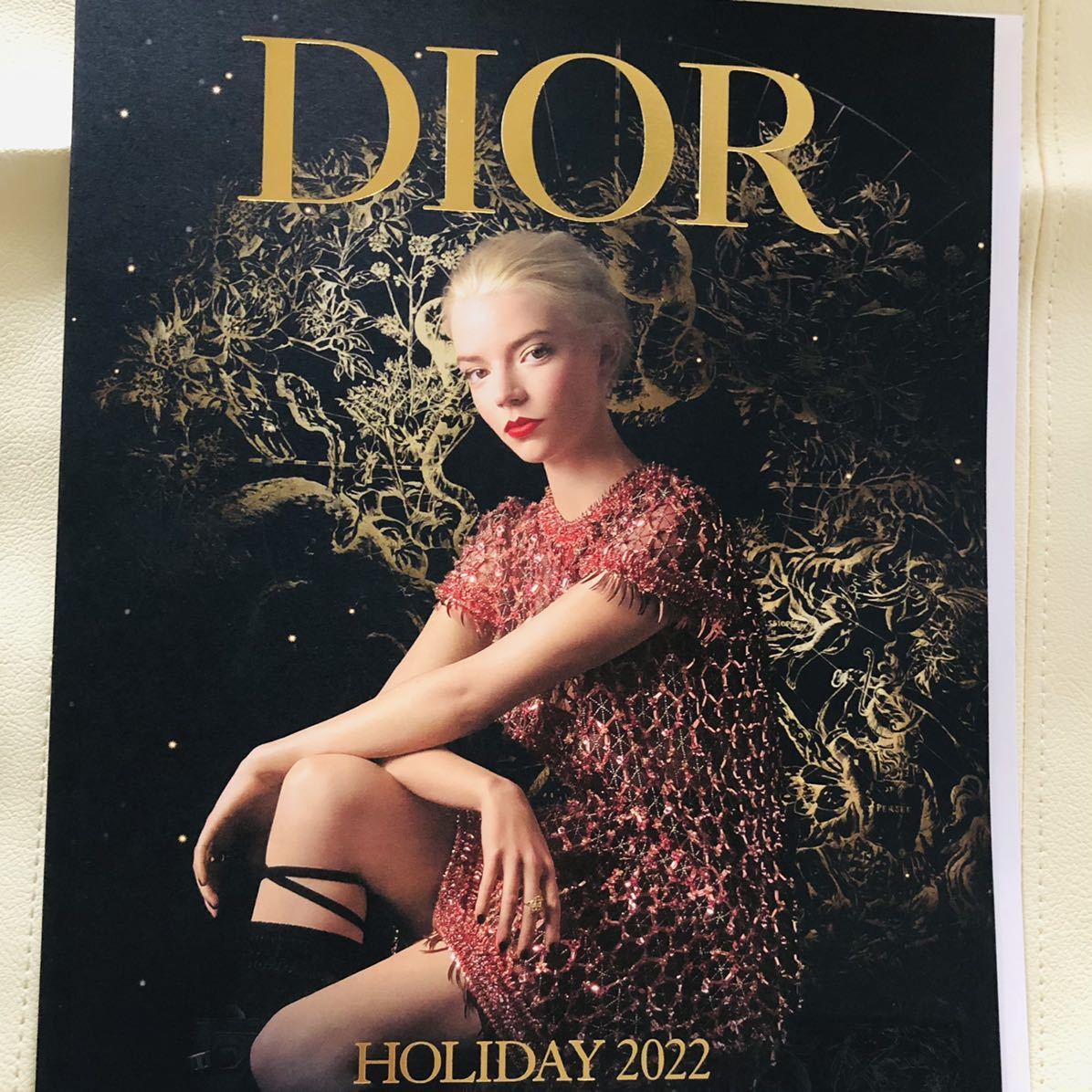 Christian ディオール 2022年 ホリデーカタログ拍卖