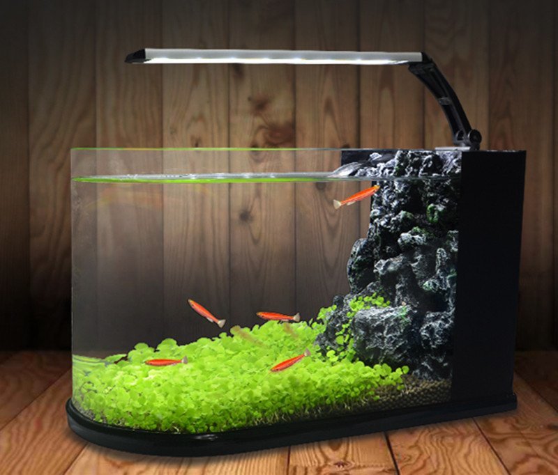 PYD2155★観賞魚飼育 ムグラス ミニ水槽 ガラス水槽 小型水槽 ルーガス容器 水族館 LED照明 観賞魚用 アクアリウラス 小型ガラム 築山静音拍卖