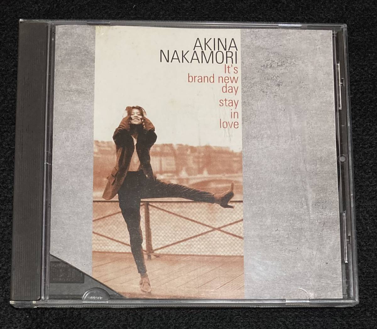 ※送料無料※ 中森明菜 マキシシングル It's brand new day Stay in love 2001年発売拍卖