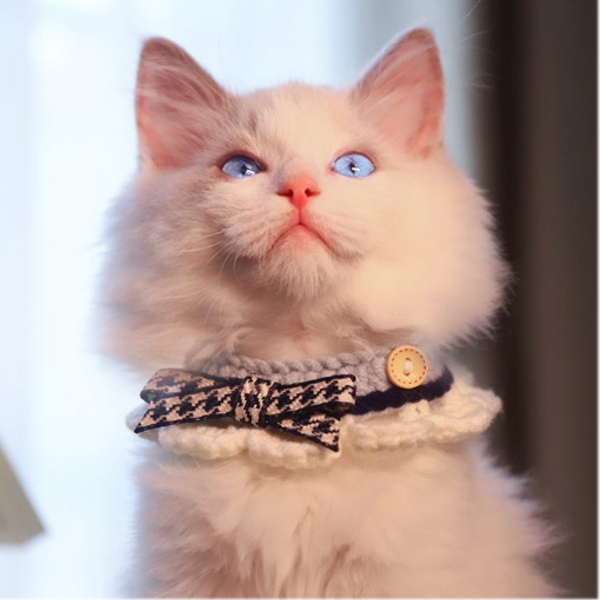 ペット用の首輪 首飾り 猫/犬兼用 サイズ L拍卖