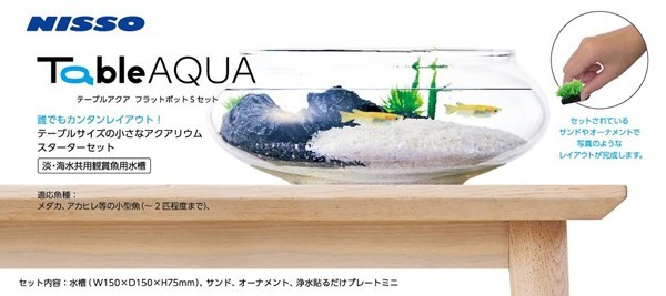 在庫処分 ニッソー テーブルアクア フラットポットSセット 熱帯魚・アクアリウム/水槽・アクアリウム/水槽セット拍卖