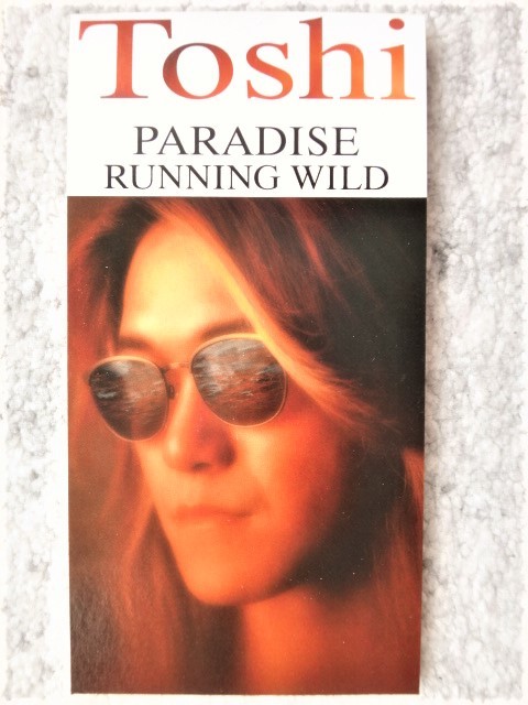 a【 Toshi / PARADISE RUNNING WILD 】8cmCD CDは4枚まで送料198円拍卖