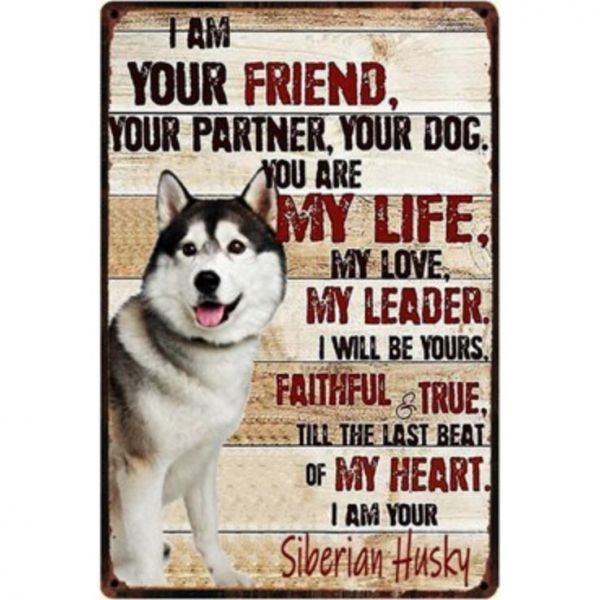 A2085 メタル サイン 金属 製 ブリキ 看板 プレート アート パネル 店 注意 動物 ペット 愛 犬 シベリアン ハスキー【5070】拍卖